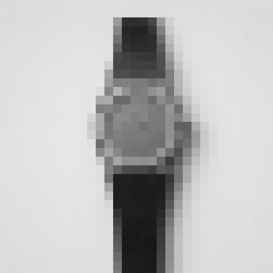 Image Title