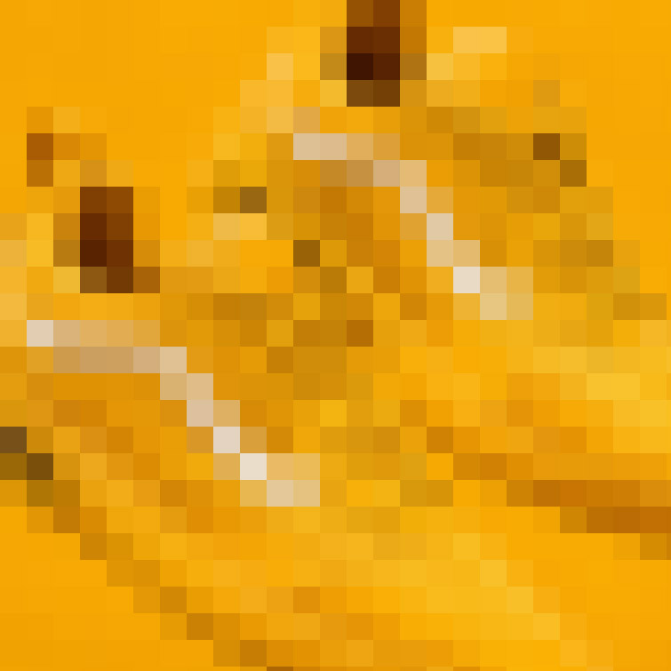 Image Title